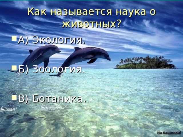 Как называется наука о животных?