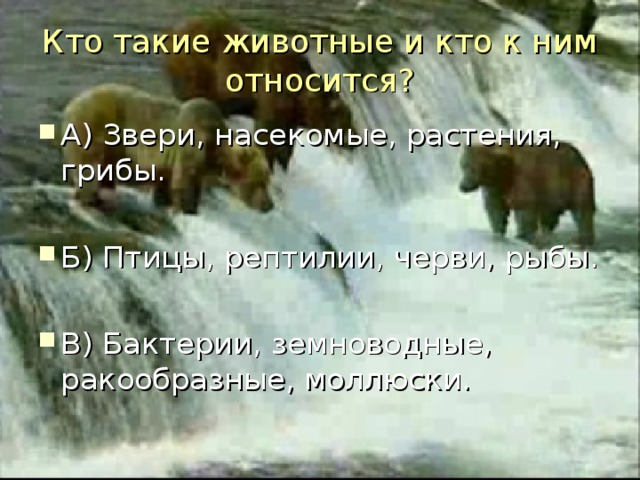 Кто такие животные и кто к ним относится?