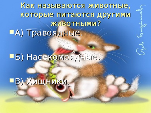 Как называются животные, которые питаются другими животными?