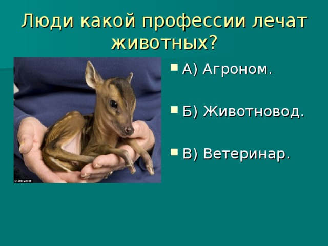 Люди какой профессии лечат животных?