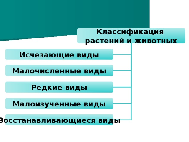 Классификация  растений и животных Исчезающие виды Малочисленные виды Редкие виды Малоизученные виды Восстанавливающиеся виды