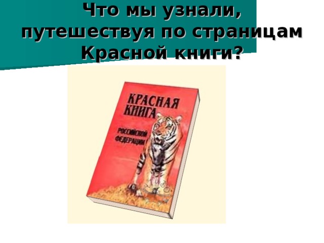 Что мы узнали, путешествуя по страницам Красной книги?