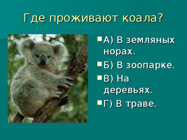 Где проживают коала?