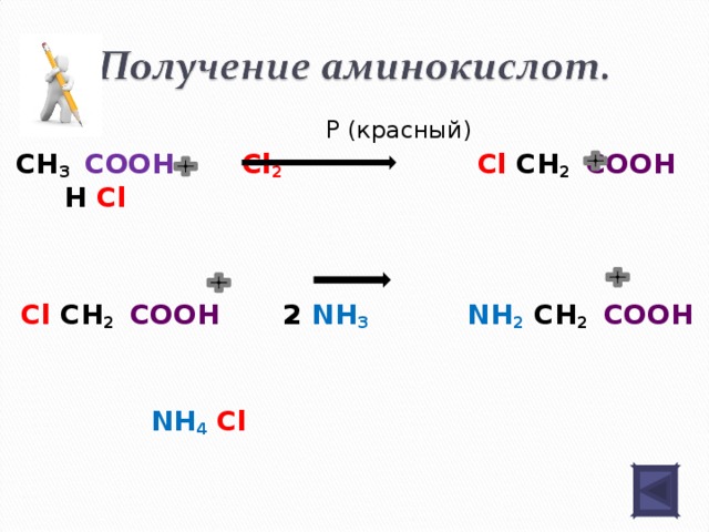 АМИНЫ  Характеристика метиламина и анилина Признаки сравнения Метиламин Формула Анилин СН 3 NH 2 Физические свойства Бесцветный с резким аммиачным запахом, хорошо растворим в воде.  С 6 Н 5 NH 2