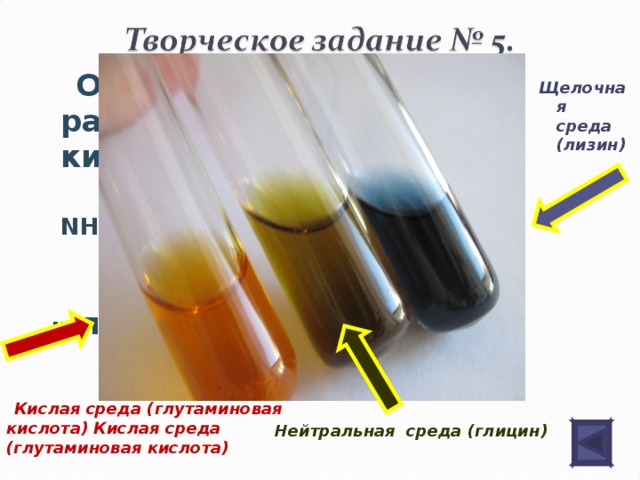 АМИНЫ  Характеристика метиламина и анилина Признаки сравнения  Химические свойства А) горение Метиламин Анилин 4СН 3 NH 2  + 9О 2 → 4СО 2 + 10Н 2 О+ 2 N 2 2С 6 Н 5 NH 2  + 15,5О 2 → 12СО 2 + 7Н 2 О+ N 2
