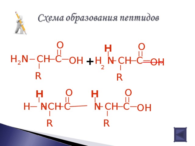 АМИНЫ  Характеристика метиламина и анилина Опыт: Реакция анилина с бромной водой