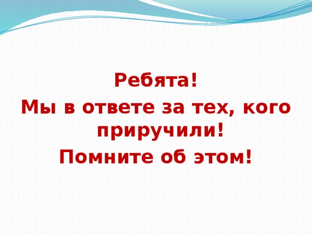 Ребята! Мы в ответе за тех, кого приручили! Помните об этом!