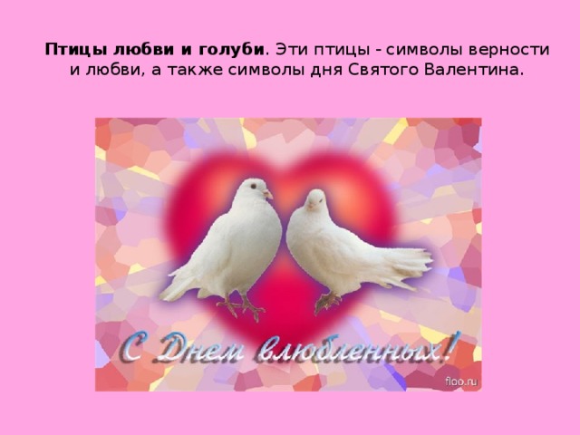 Птицы любви и голуби . Эти птицы - символы верности и любви, а также символы дня Святого Валентина.
