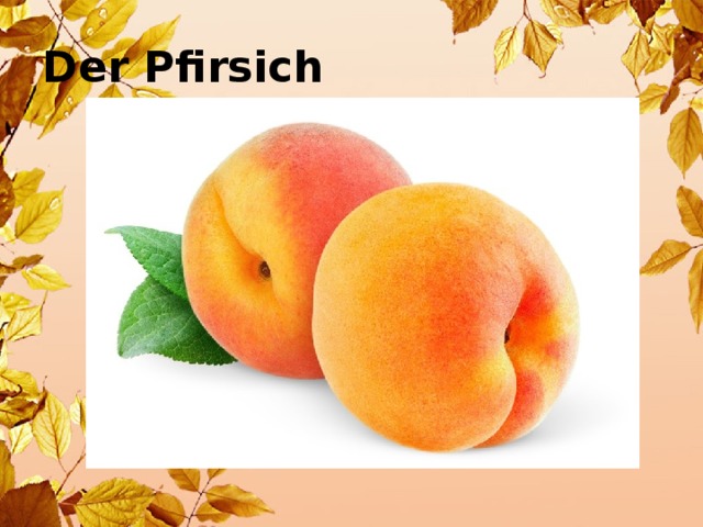 Der Pfirsich