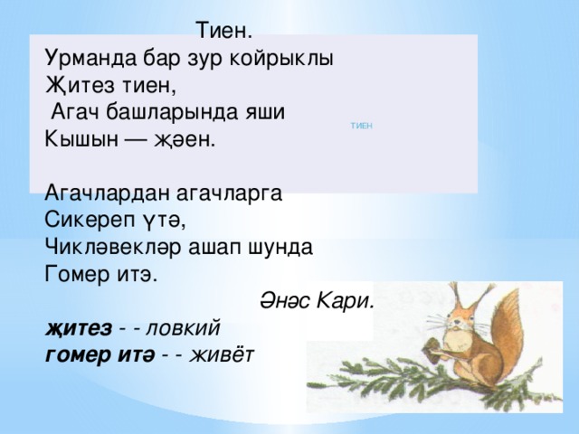 Тиен. Урманда бар зур койрыклы Җитез тиен,  Агач башларында яши Кышын — җәен. Агачлардан агачларга Сикереп үтә, Чикләвекләр ашап шунда Гомер итэ.  Әнәс Кари. җитез  - - ловкий гомер  итә  - - живёт ТИЕН