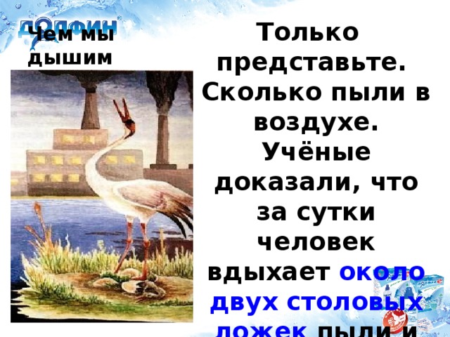 Только представьте. Сколько пыли в воздухе. Учёные доказали, что за сутки человек вдыхает около двух столовых ложек пыли и чем она мельче, тем глубже проникает в лёгкие. Чем мы дышим