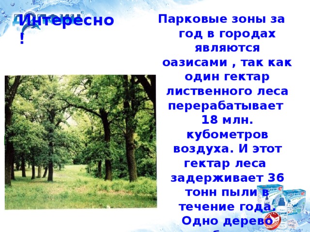 Парковые зоны за год в городах являются оазисами , так как один гектар лиственного леса перерабатывает 18 млн. кубометров воздуха. И этот гектар леса задерживает 36 тонн пыли в течение года. Одно дерево вырабатывает столько кислорода, сколько необходимо в течение суток около 65 людям. Интересно! И помни всегда!