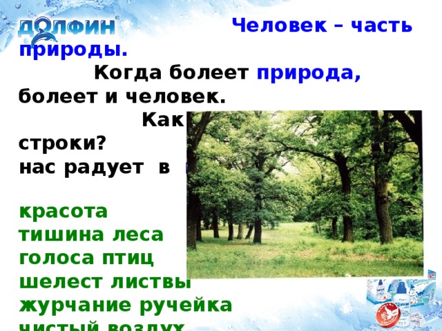 Человек – часть природы.  Когда болеет природа, болеет и человек.  Как понимаете эти строки? Что нас радует в  природе?    красота  тишина леса  голоса птиц  шелест листвы  журчание ручейка  чистый воздух