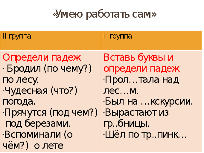 В чаще леса какой падеж. В лесу падеж.