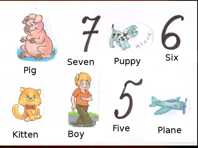 Six Puppy Seven Pig Five Plane Boy Kitten