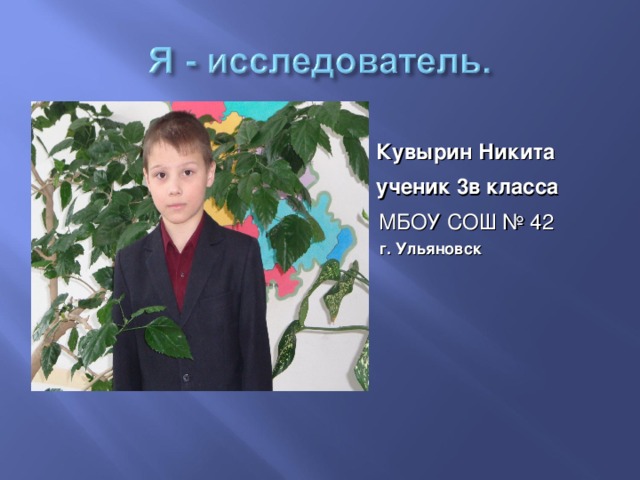 Кувырин Никита ученик 3в класса  МБОУ СОШ № 42  г. Ульяновск