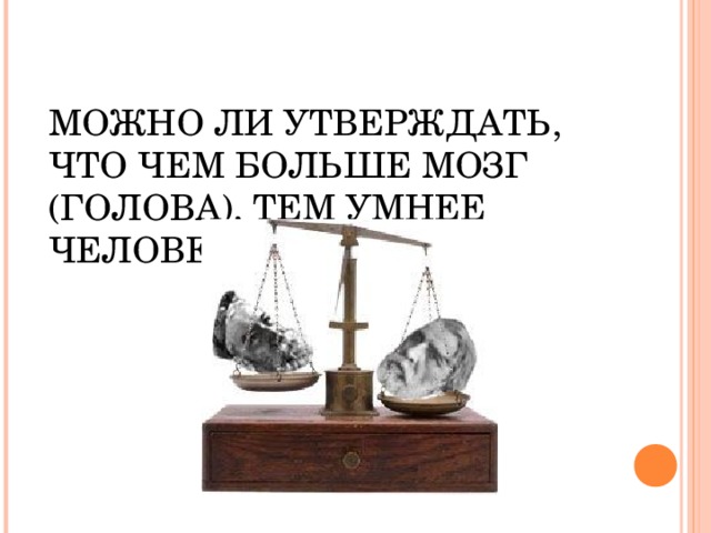 МОЖНО ЛИ УТВЕРЖДАТЬ, ЧТО ЧЕМ БОЛЬШЕ МОЗГ (ГОЛОВА), ТЕМ УМНЕЕ ЧЕЛОВЕК?