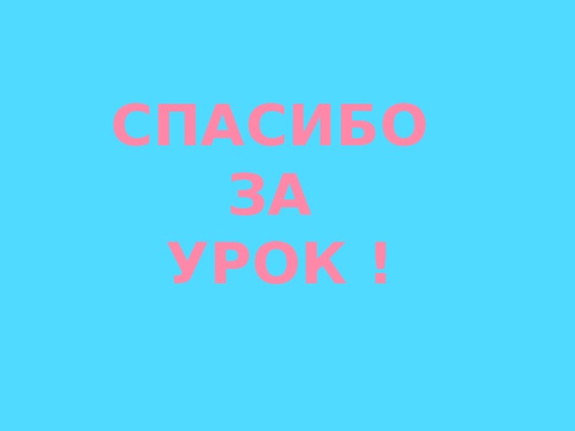 СПАСИБО ЗА УРОК !