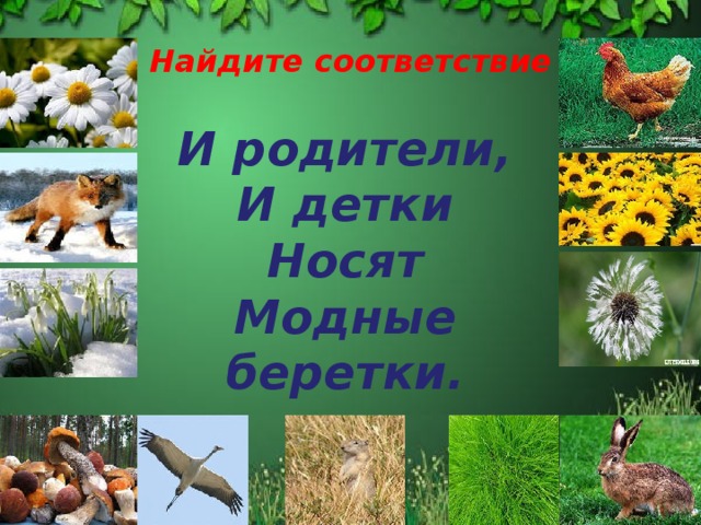 Найдите соответствие       И родители,  И детки  Носят  Модные беретки.