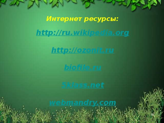 Интернет ресурсы: http://ru.wikipedia.org   http://ozonit.ru   biofile.ru   5klass.net   webmandry.com   40