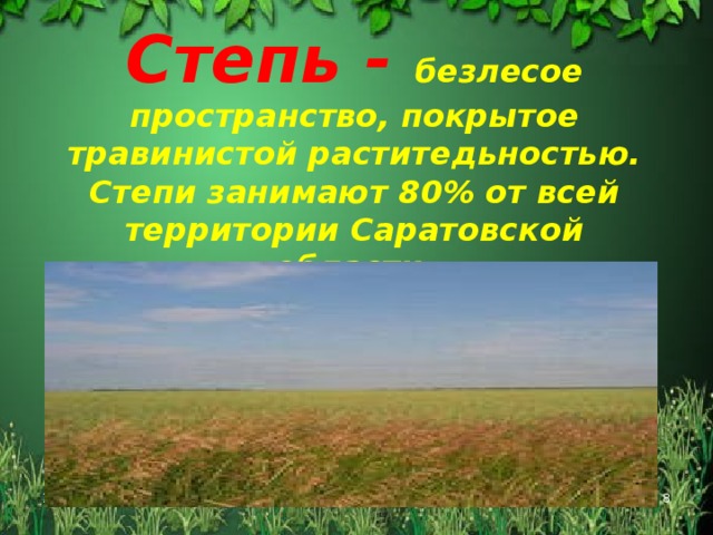 Степь - безлесое пространство, покрытое травинистой раститедьностью. Степи занимают 80% от всей территории Саратовской области. 11/02/16