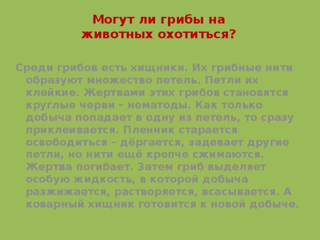 Могут ли грибы на животных охотиться? Среди грибов есть хищники. Их грибные нити образуют множество петель. Петли их клейкие. Жертвами этих грибов становятся круглые черви – нематоды. Как только добыча попадает в одну из петель, то сразу приклеивается. Пленник старается освободиться – дёргается, задевает другие петли, но нити ещё крепче сжимаются. Жертва погибает. Затем гриб выделяет особую жидкость, в которой добыча разжижается, растворяется, всасывается. А коварный хищник готовится к новой добыче.