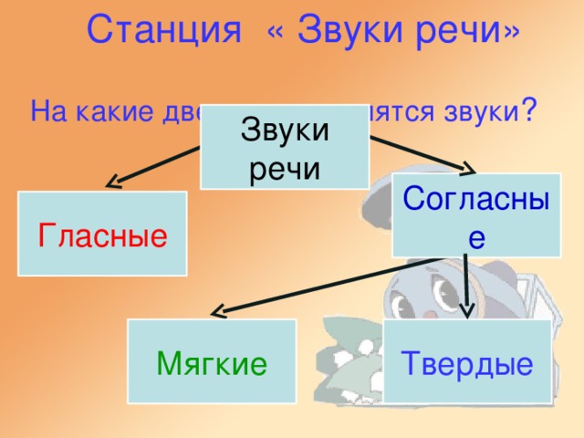 Станция « Звуки речи»   На какие две группы делятся звуки ? Звуки речи Согласные Гласные Мягкие Твердые