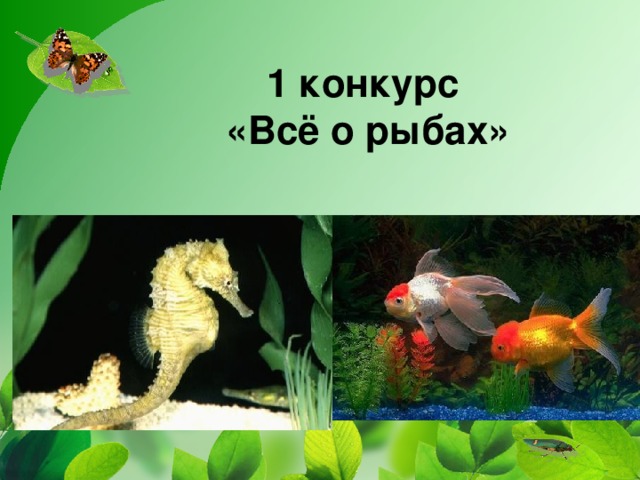 1 конкурс  «Всё о рыбах»