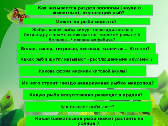 Как называется раздел зоологии (науки о животных), изучающий рыб? Может ли рыба моргать? Жабры какой рыбы хирург пересадил юноше Ихтиандру в знаменитом фантастическом романе А. Беляева «Человек-амфибия»? Белая, синяя, тигровая, китовая, колючая… Кто это? Из чего строит гнездо аквариумная рыбка макропод? Какую рыбу искусственно разводят в прудах? Какая байкальская рыба может растаять на солнце ?