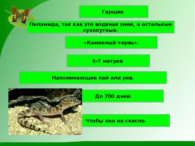 Гаршин Пеламида, так как это водяная змея, а остальные сухопутные. «Каменный червь». 6-7 метров Напоминающие лай или рев. До 700 дней. Чтобы оно не скисло.