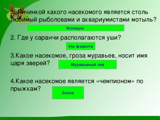 1. Личинкой какого насекомого является столь любимый рыболовами и аквариумистами мотыль? 2. Где у саранчи располагаются уши? 3.Какое насекомое, гроза муравьев, носит имя царя зверей? 4.Какое насекомое является «чемпионом» по прыжкам? Комара На животе Муравьиный лев Блоха