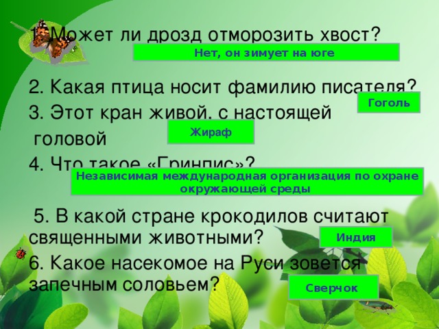 Нет, он зимует на юге Гоголь Жираф Независимая международная организация по охране окружающей среды Индия Сверчок