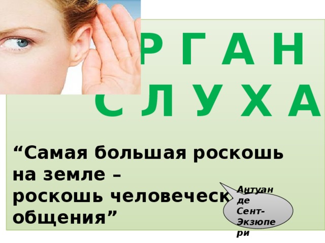 О Р Г А Н С Л У Х А   “ Самая большая роскошь на земле – роскошь человеческого общения” Антуан де Сент-Экзюпери