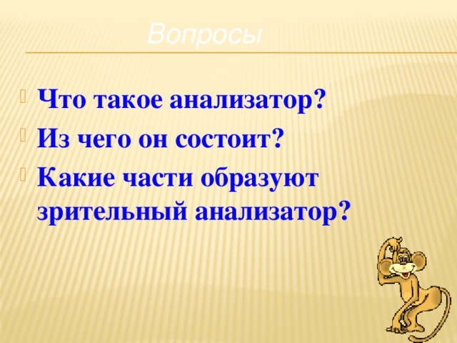 Вопросы Что такое анализатор? Из чего он состоит? Какие части образуют зрительный анализатор?