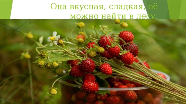 Она вкусная, сладкая, её можно найти в лесу.