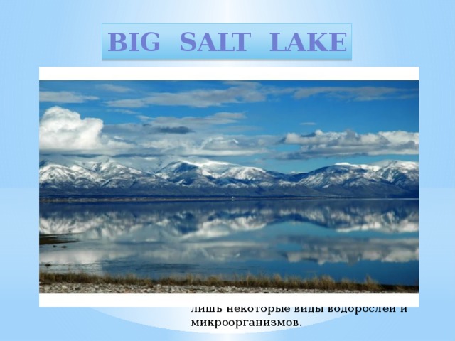 Big salt lake Площадь зависит от количества осадков Большое соленое озеро — самое больше соленое озеро Северной Америки. Это обмелевшая часть доисторического озера Бонневилл. Погодные условия влияют на его площадь, которая колеблется от 2590 кв. км до 6477 кв. км. Западнее озера до границ с штатом Невада находятся бескрайние соляные поля. Их поверхность — очень ровная и плотная, поэтому часто используется автогонщиками в качестве испытательного полигона. Здесь способны выжить лишь некоторые виды водорослей и микроорганизмов.