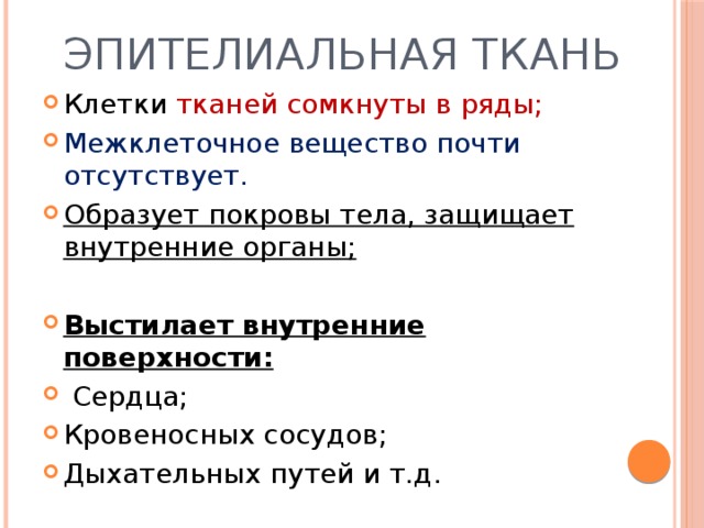 Эпителиальная ткань