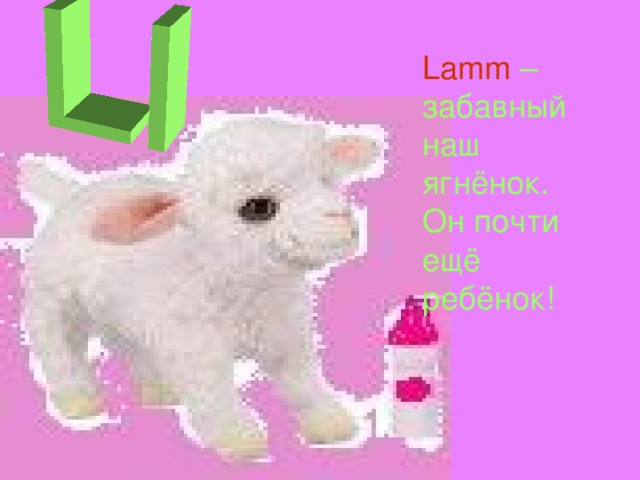 Lamm  – забавный наш ягнёнок. Он почти ещё ребёнок!