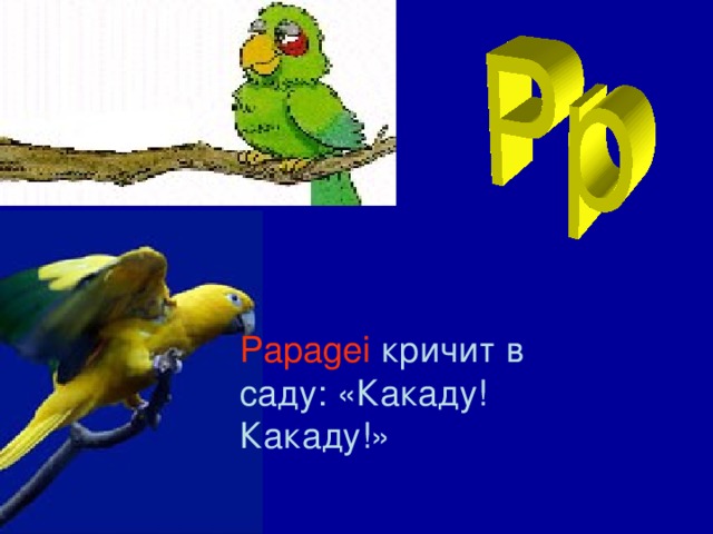 Papagei  кричит в саду: «Какаду! Какаду!»