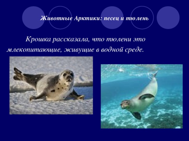 Животные Арктики: песец и тюлень    Крошка рассказала, что тюлени это млекопитающие, живущие в водной среде.