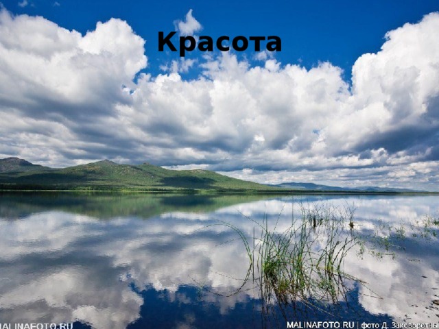 Красота