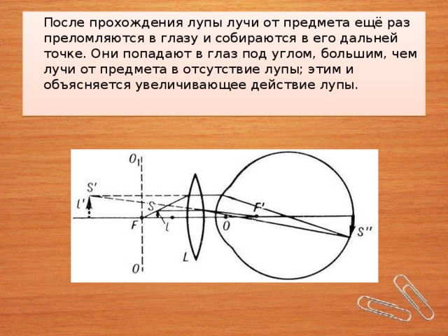 После прохождения лупы лучи от предмета ещё раз преломляются в глазу и собираются в его дальней точке. Они попадают в глаз под углом, большим, чем лучи от предмета в отсутствие лупы; этим и объясняется увеличивающее действие лупы.