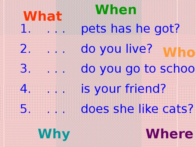 When What  . . . pets has he got?  . . . do you live?  . . . do you go to school?  . . . is your friend?  . . . does she like cats? Who Where Why