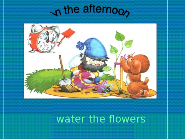 water the flowers