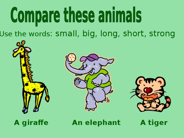Use the words : small, big, long, short, strong A giraffe An elephant A tiger