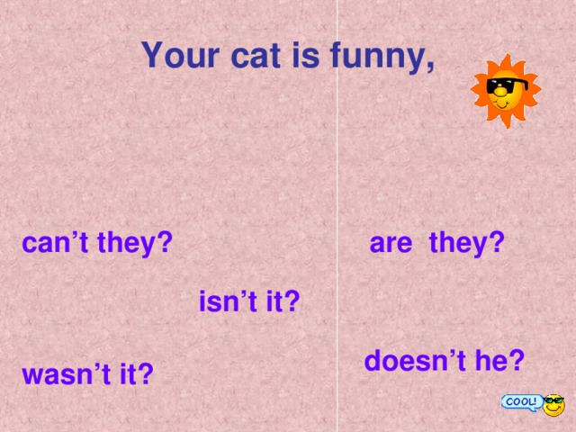 Your cat is funny, can’t they?  are they? isn’t it? doesn’t he? wasn’t it?