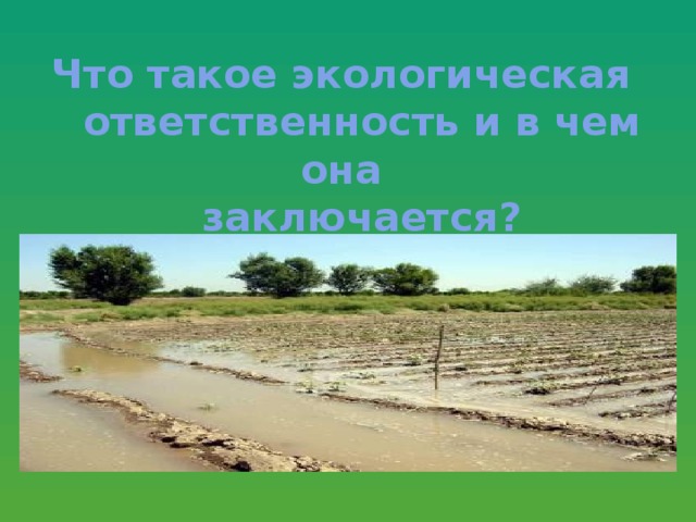 Что такое экологическая  ответственность и в чем она  заключается?