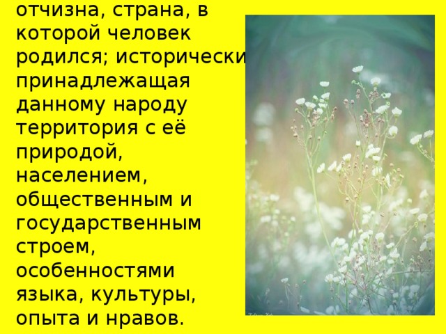 Родина- отечество, отчизна, страна, в которой человек родился; исторически принадлежащая данному народу территория с её природой, населением, общественным и государственным строем, особенностями языка, культуры, опыта и нравов. 