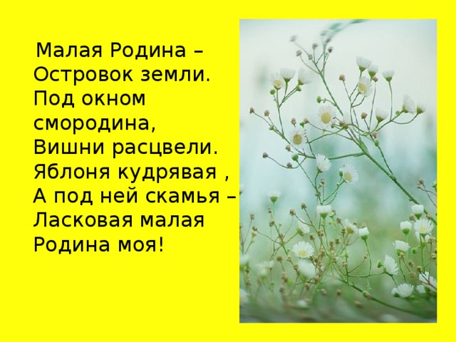 Малая Родина –  Островок земли.  Под окном смородина,  Вишни расцвели.  Яблоня кудрявая ,  А под ней скамья –  Ласковая малая  Родина моя!