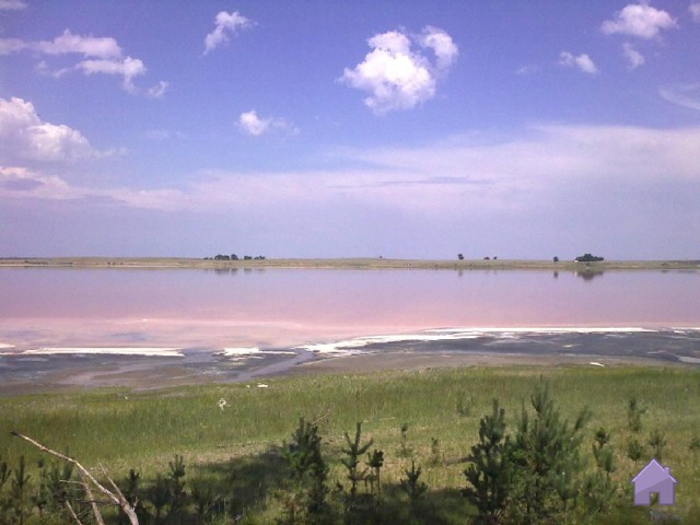 40 САМОЕ-САМОЕ В Михайловском районе Алтайского края можно увидеть самое необычное озеро. Озеро уникально своим цветом воды. озеро Малиновое